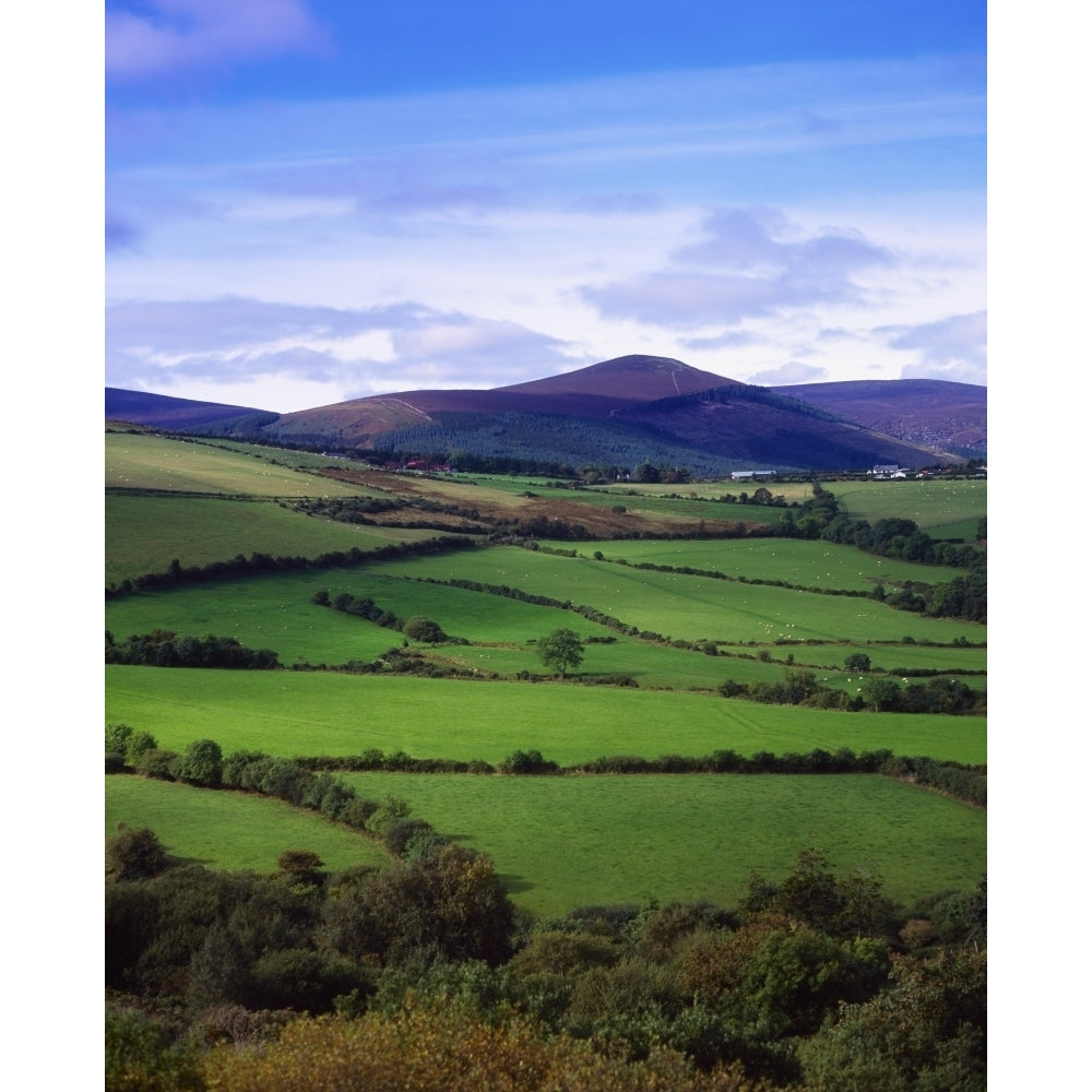 Fields From The Sugar Loaf Mountain Co Wicklow Ireland Poster Print Image 2