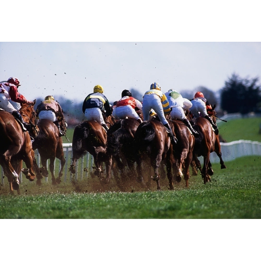 Horse Racing; Rear View Of Horses Racing Poster Print Image 2