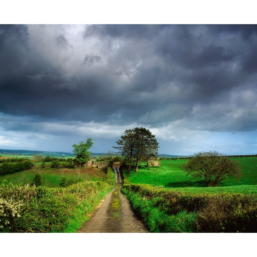 Co Armagh Northern Ireland Small Farm Near Whitecross by The Irish Image Collection / Design Pics Image 1