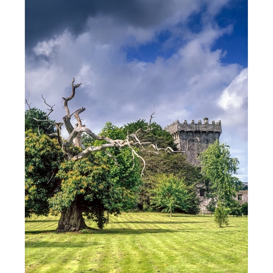 Blarney Castle Co Cork Ireland by The Irish Image Collection / Design Pics Image 1