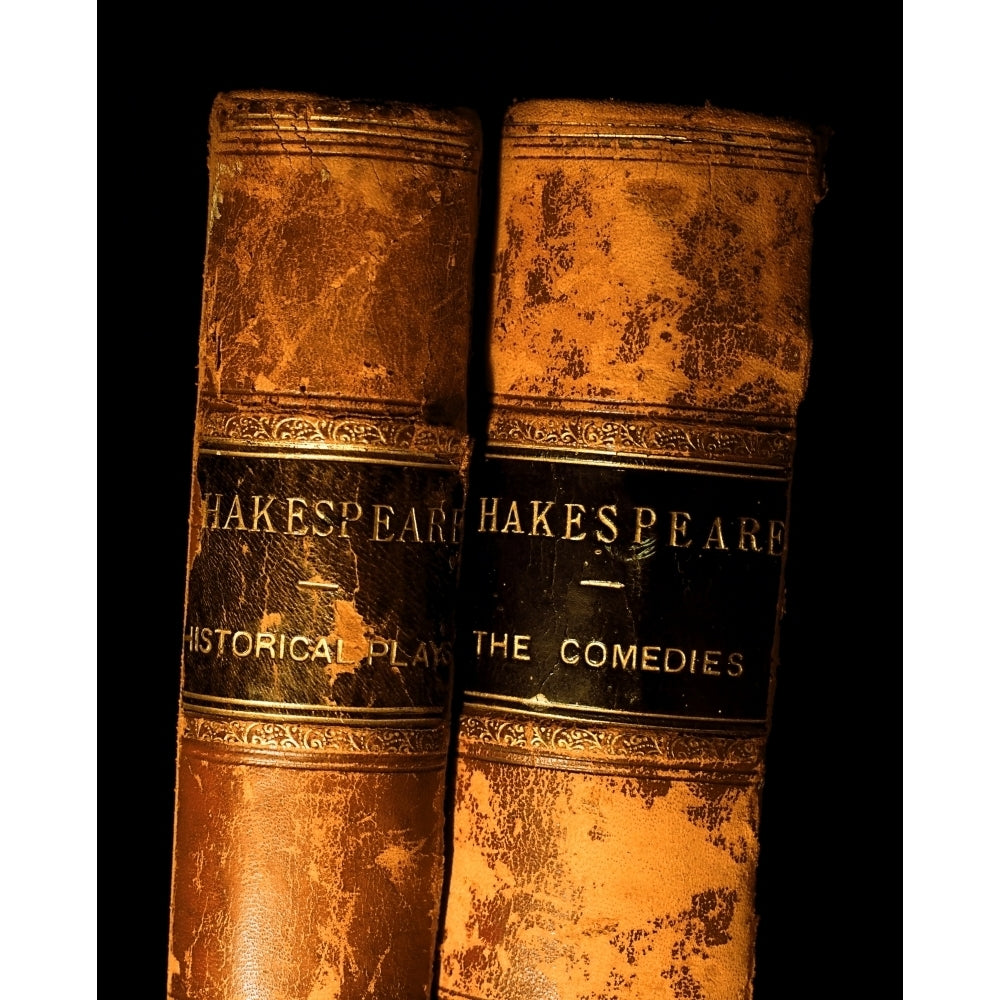 Shakespeare Leather Bound Books Poster Print Image 2