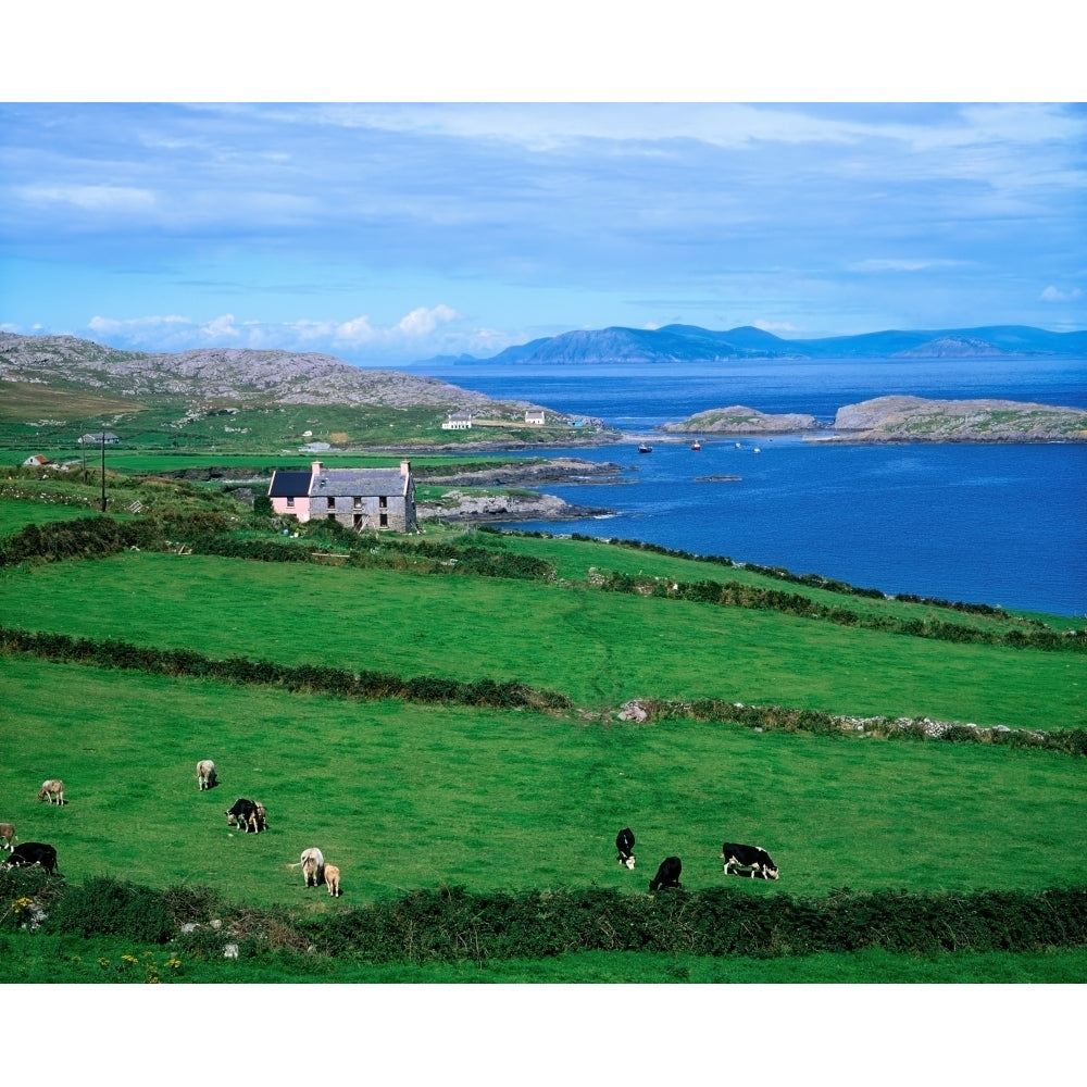 Beara Peninsula County Cork Ireland by The Irish Image Collection / Design Pics Image 1