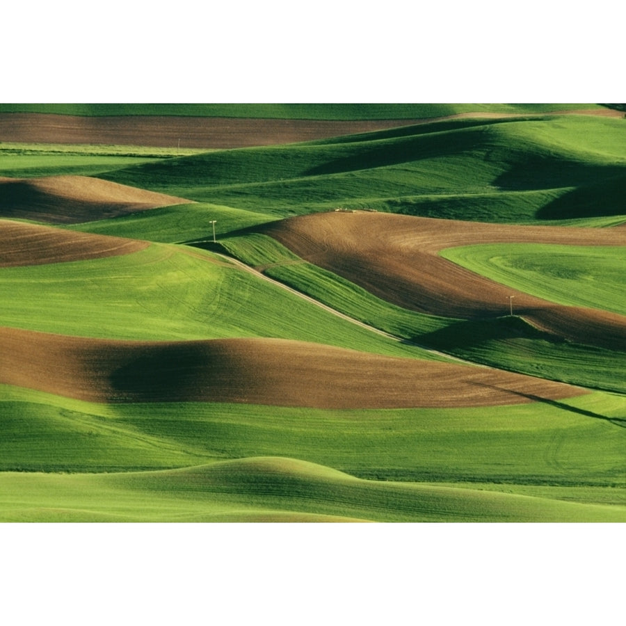 Palouse Fields Whitman County Washington Usa Poster Print Image 1