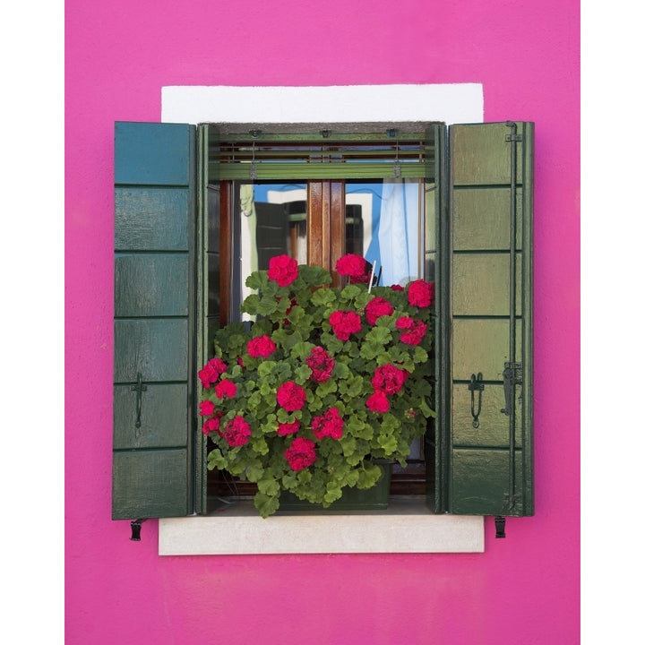 Pink Wall And Green Shutters Burano Italy Poster Print Image 1