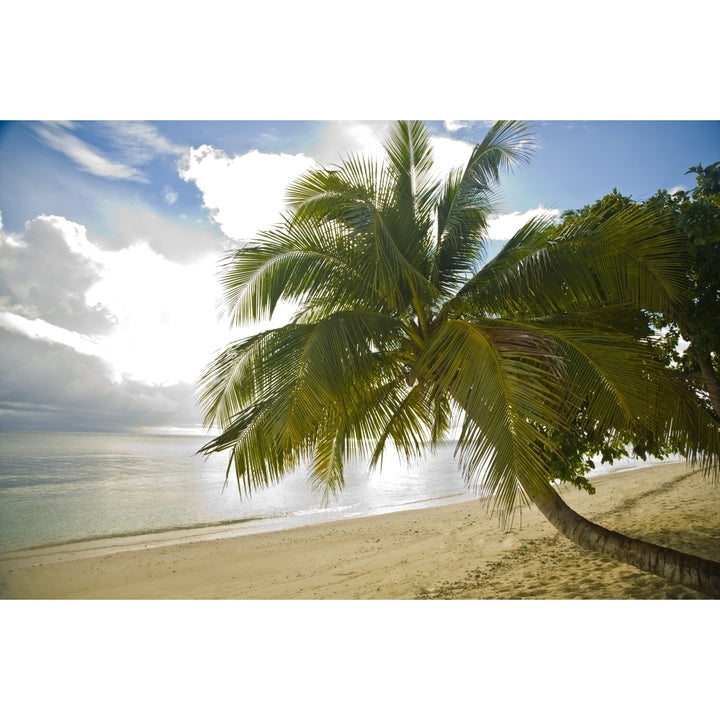 Sipadan Island Sabah Malaysian Borneo Malaysia Southeast Asia Poster Print Image 2