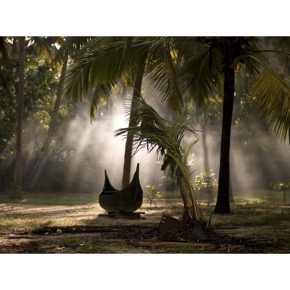 Canoe Under Palm Trees In Kerala India Poster Print Image 1