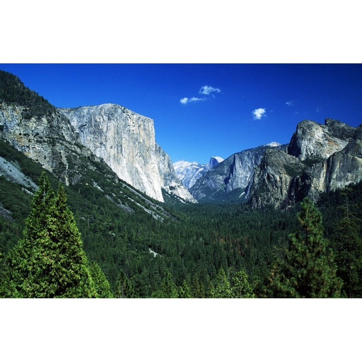 Yosemite National Park Sierra Nevada California Usa; Forest And Mountains Poster Print Image 2