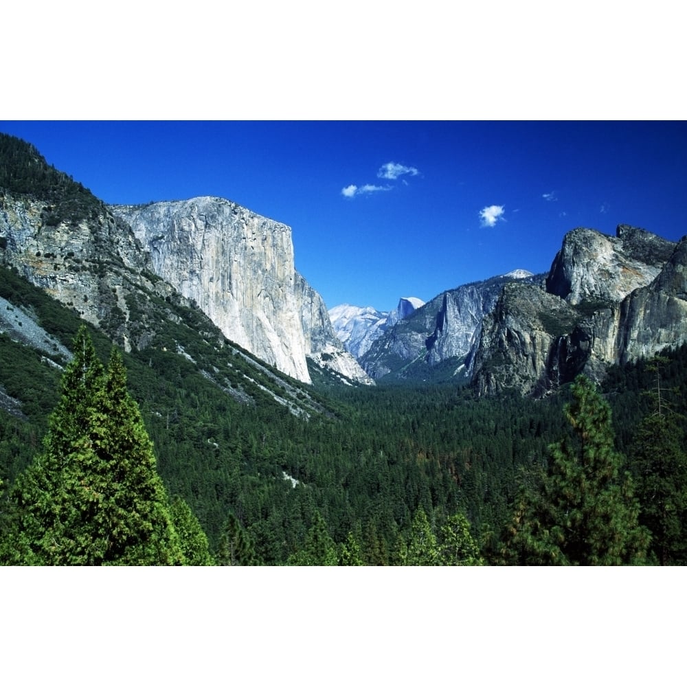 Yosemite National Park Sierra Nevada California Usa; Forest And Mountains Poster Print Image 1