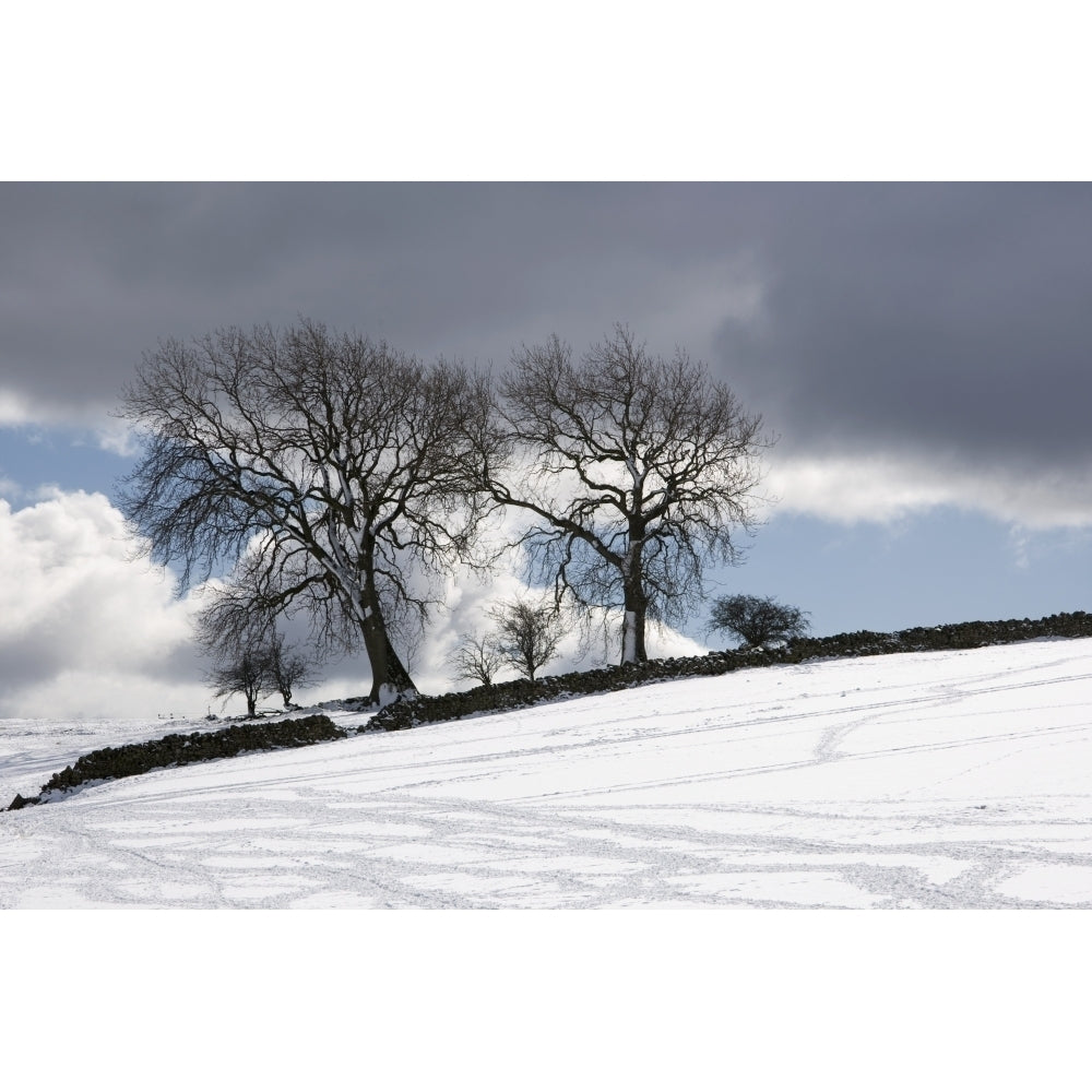 Snowy Field Weardale County Durham England Poster Print Image 1