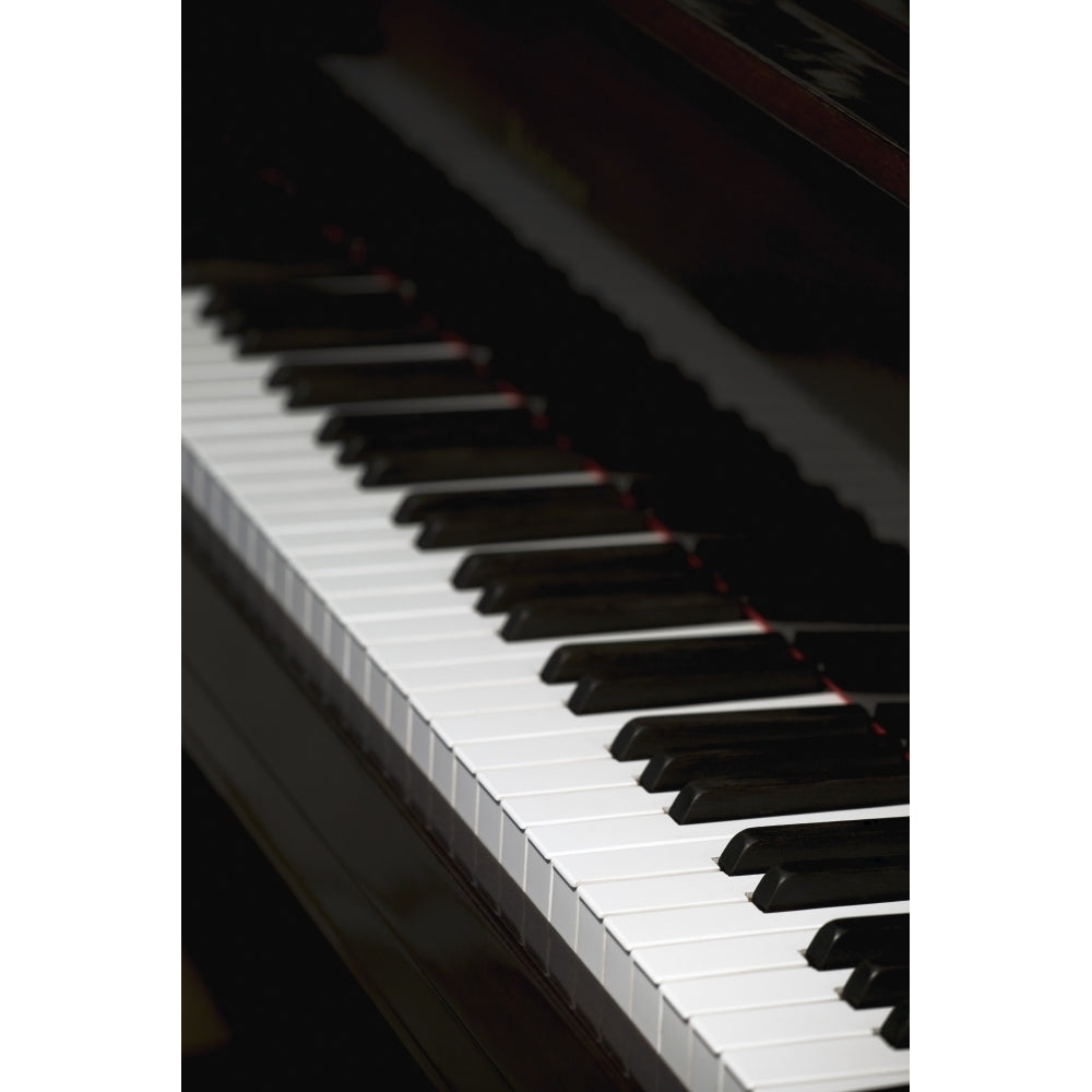 Piano Poster Print Image 2