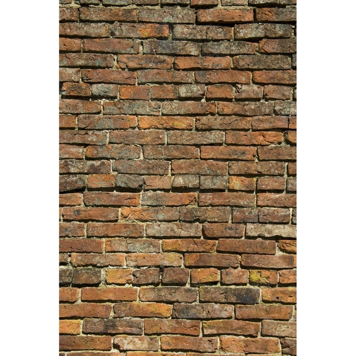 Weathered Brick Wall Poster Print Image 2