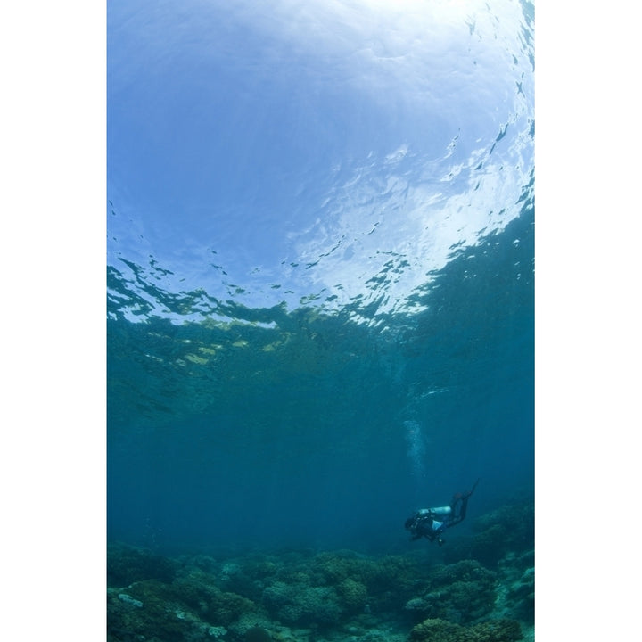 Apo Island Marine Park Philippines Southeast Asia; Scuba Diver Poster Print Image 1