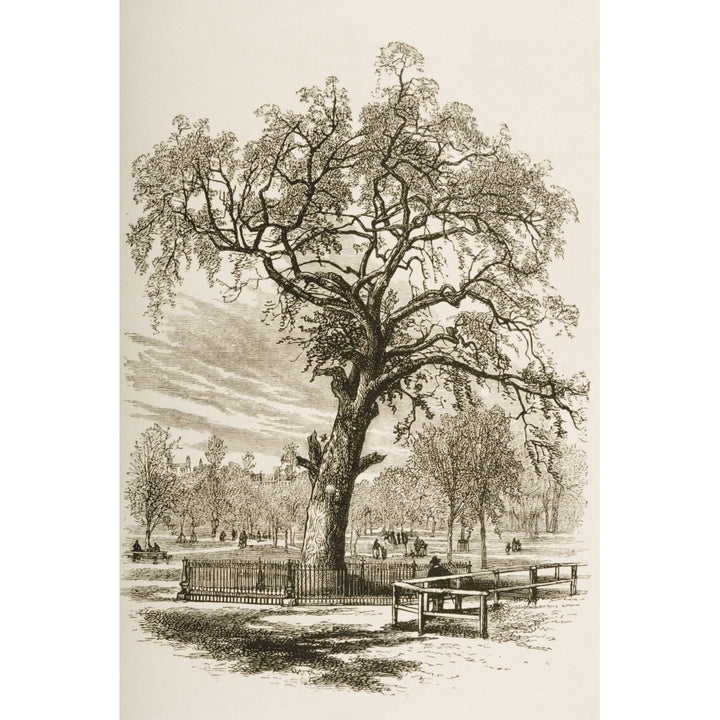 Boston Massachusetts The Liberty Tree In 1870S. From American Pictures Drawn Image 2