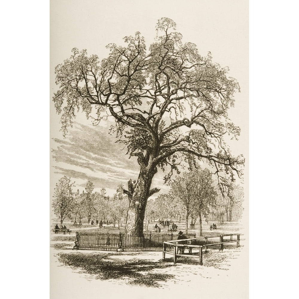 Boston Massachusetts The Liberty Tree In 1870S. From American Pictures Drawn Image 1