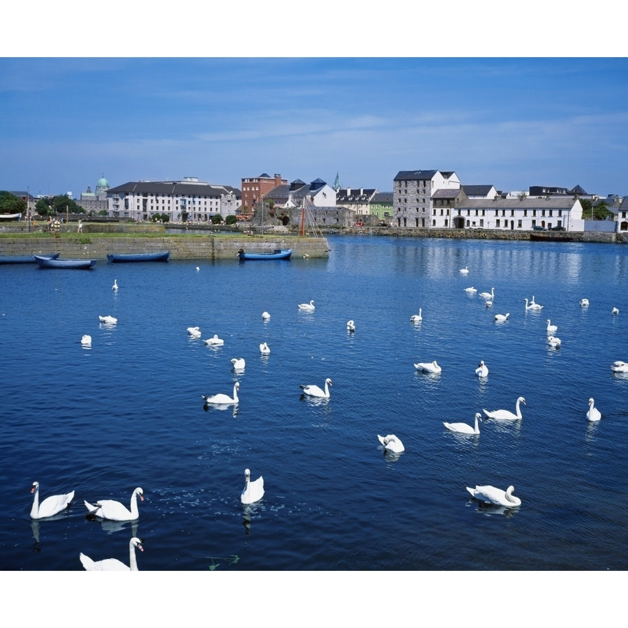 Galway County Galway Ireland Poster Print Image 1