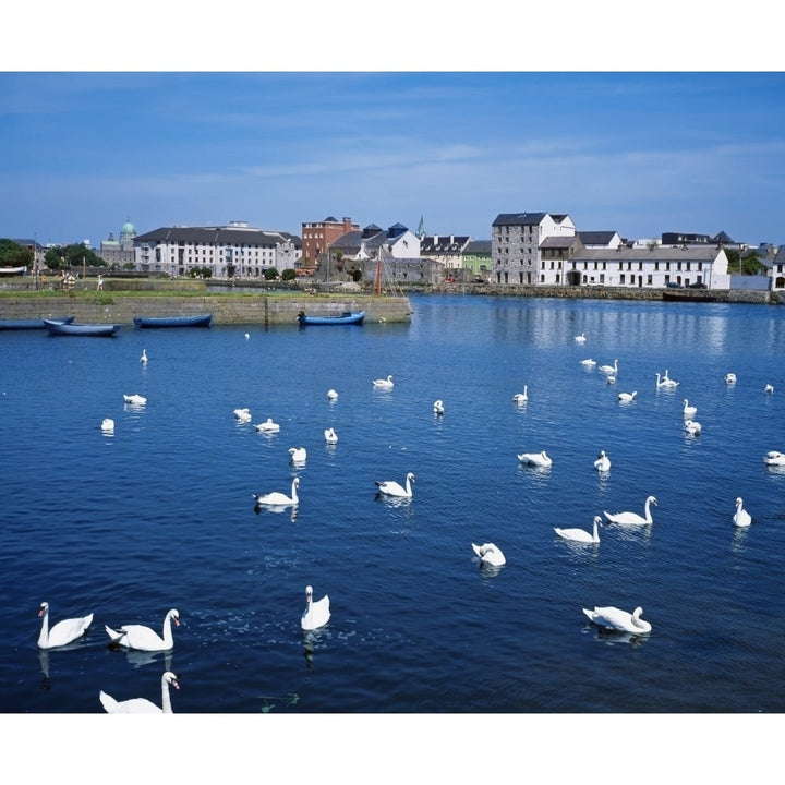 Galway County Galway Ireland Poster Print Image 1