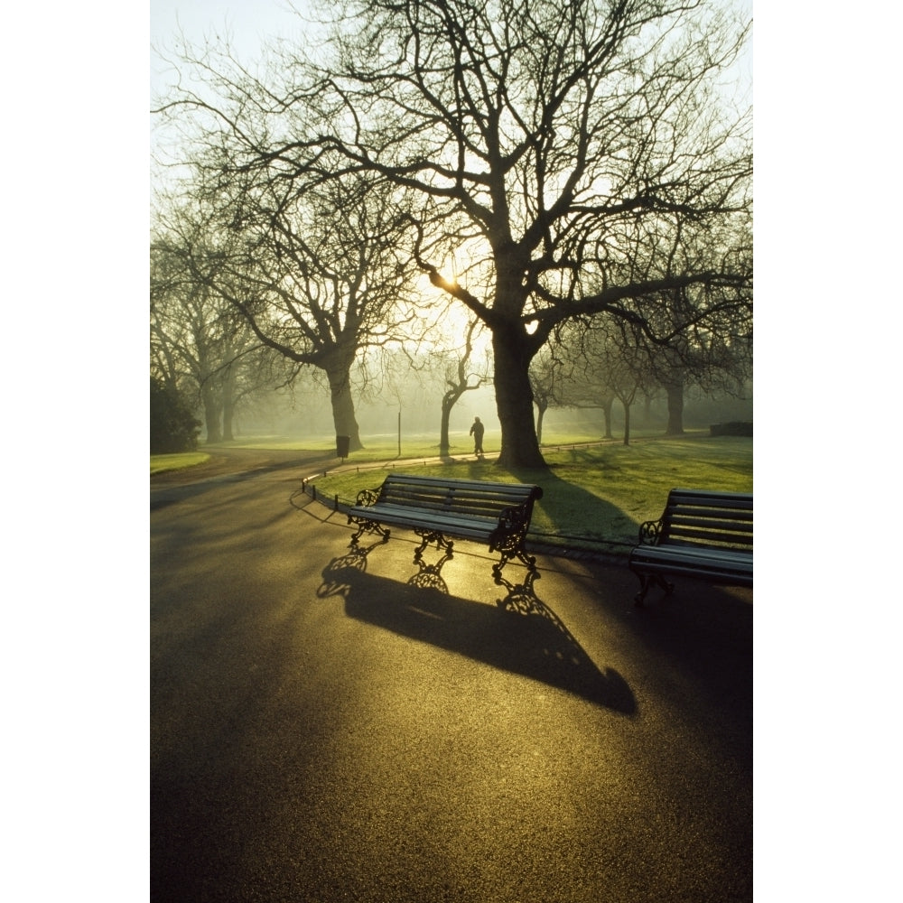 Dublin - Parks St. Stephens Green Poster Print Image 1