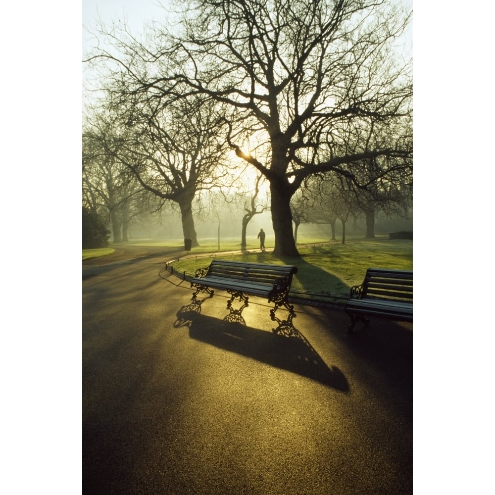 Dublin - Parks St. Stephens Green Poster Print Image 1