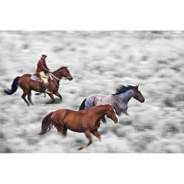 Man Riding Horse Poster Print Image 2