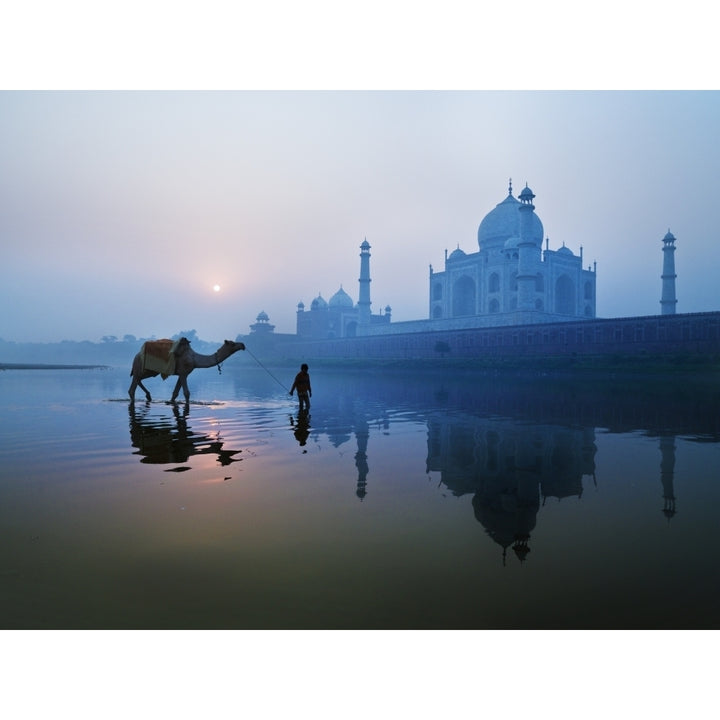 Person And Camel In Front Of Taj Mahal; Agra India Poster Print Image 1