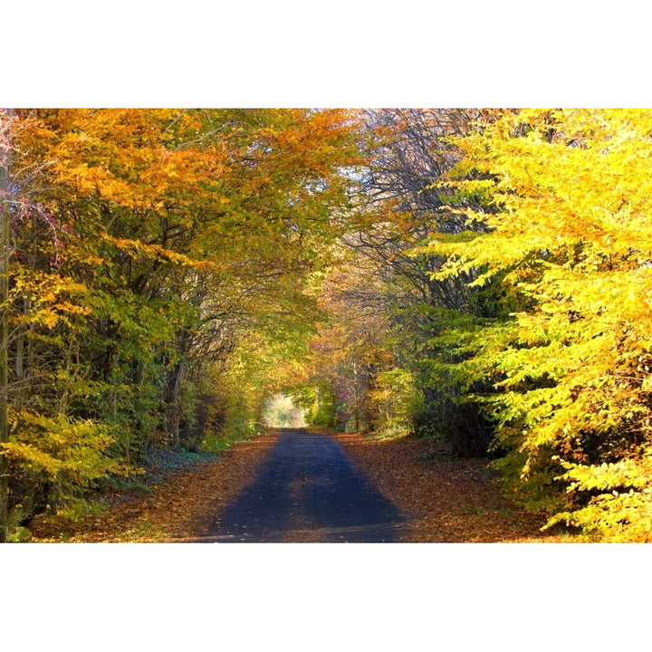 Rural Road Argyll And Bute Scotland Poster Print Image 2