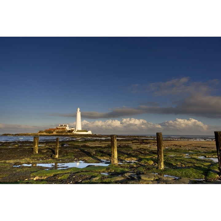 Shore And Lighthouse In Distance; Whitley Bay Northumberland England Poster Print Image 1