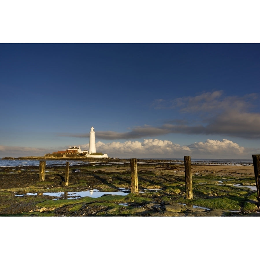 Shore And Lighthouse In Distance; Whitley Bay Northumberland England Poster Print Image 1