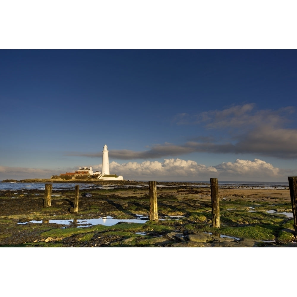 Shore And Lighthouse In Distance; Whitley Bay Northumberland England Poster Print Image 2