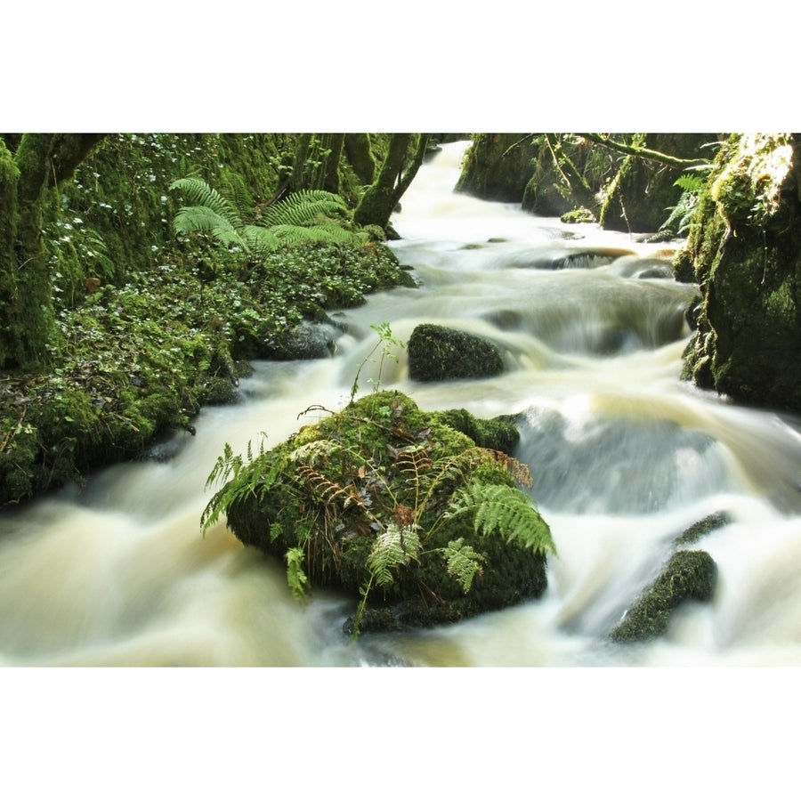 County Cork Ireland River Poster Print Image 1