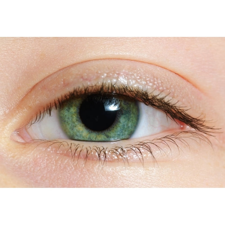 Closeup Of A Green Eye Poster Print Image 1