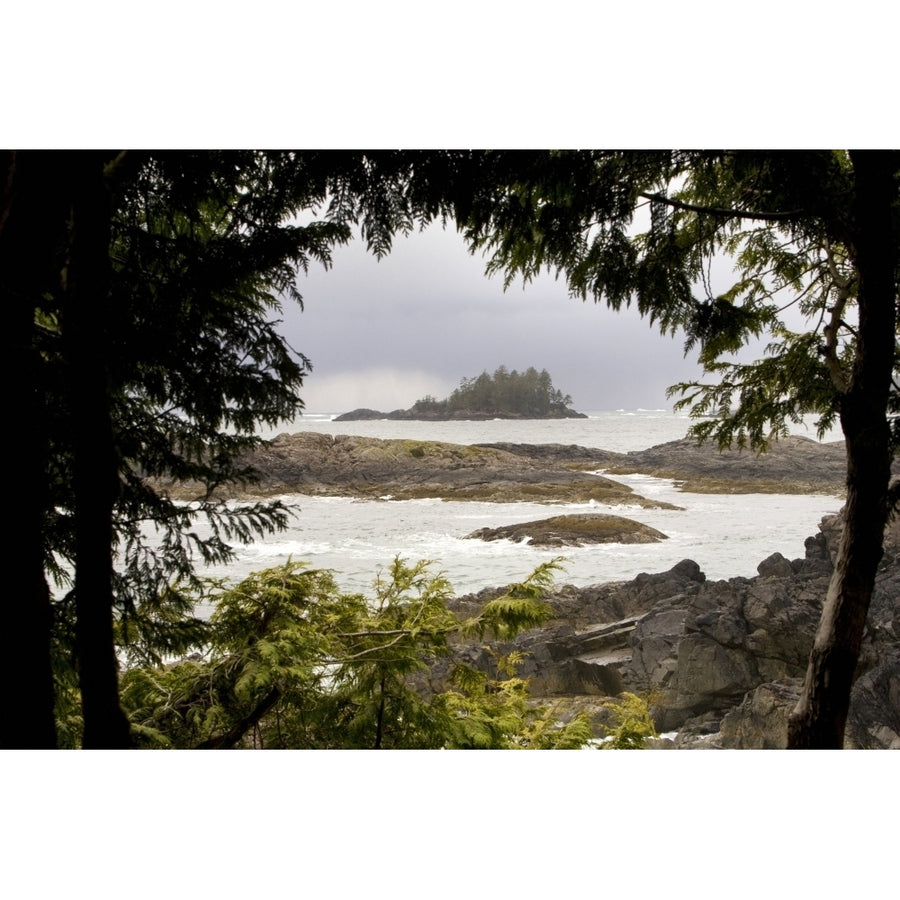 Coastal Scene Tofino British Columbia Canada Poster Print Image 1