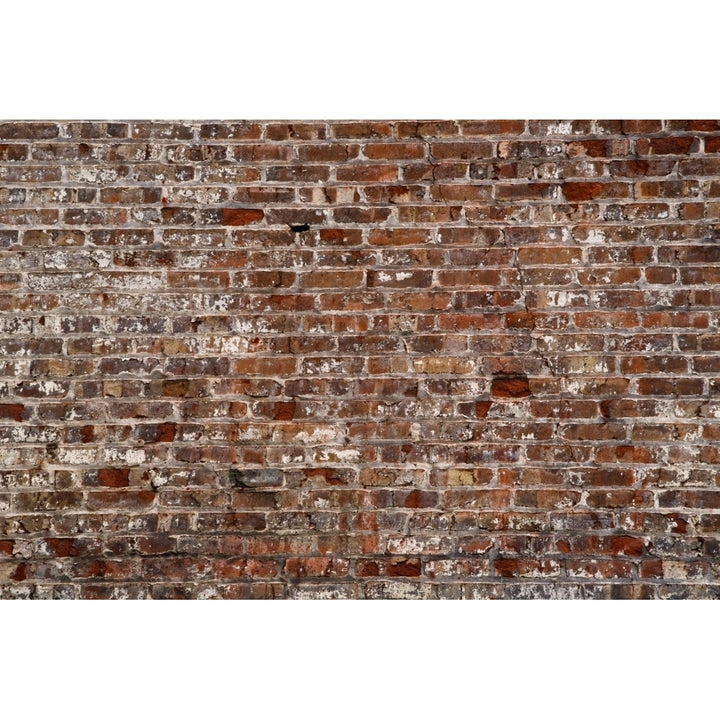 Brick Wall Poster Print Image 1