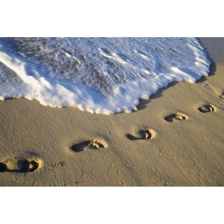 Footprints In The Sand Poster Print by David Chapman / Design Pics Image 1