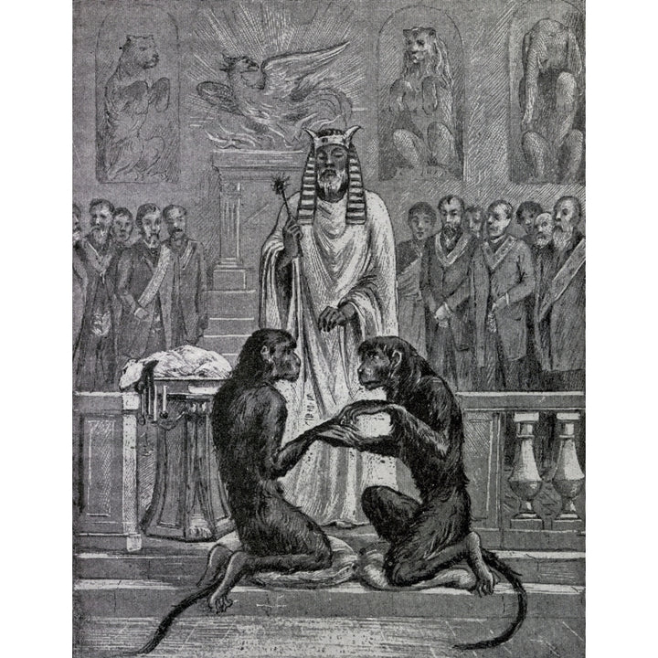 Sacrificing The Lamb During The Marriage Of The Apes From The Book The Freemason Image 1