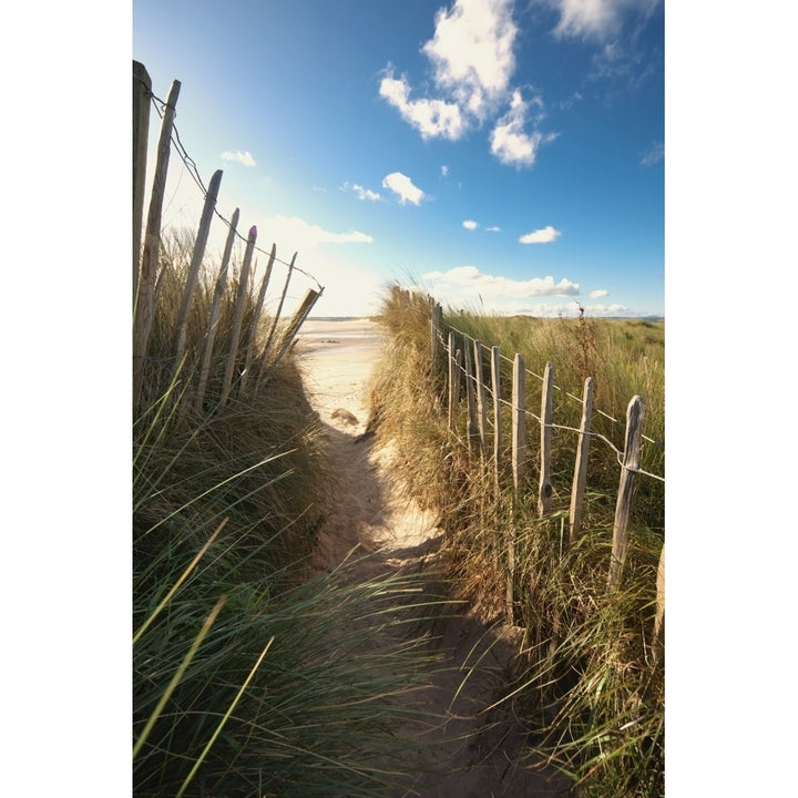 Pathway To The Beach Beadnell Northumberland England Poster Print Image 1