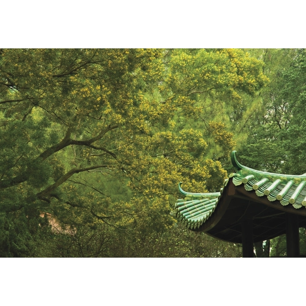 Blooming Mimosa And Pagoda In Hong Kong China Poster Print Image 1