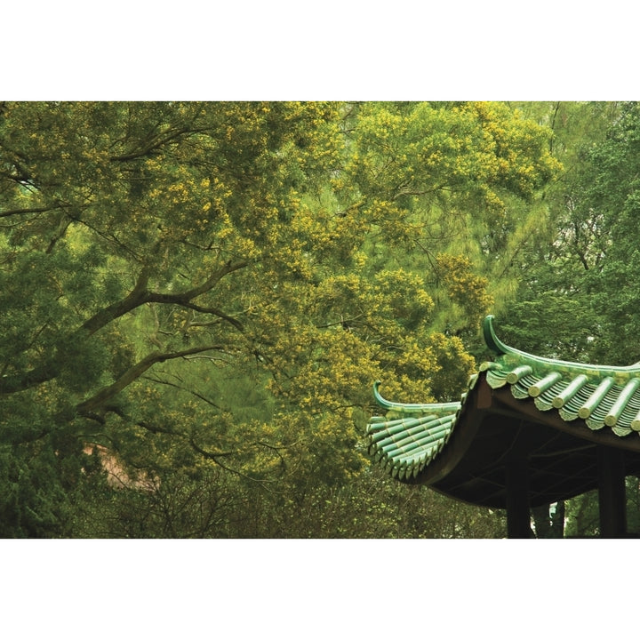 Blooming Mimosa And Pagoda In Hong Kong China Poster Print Image 2