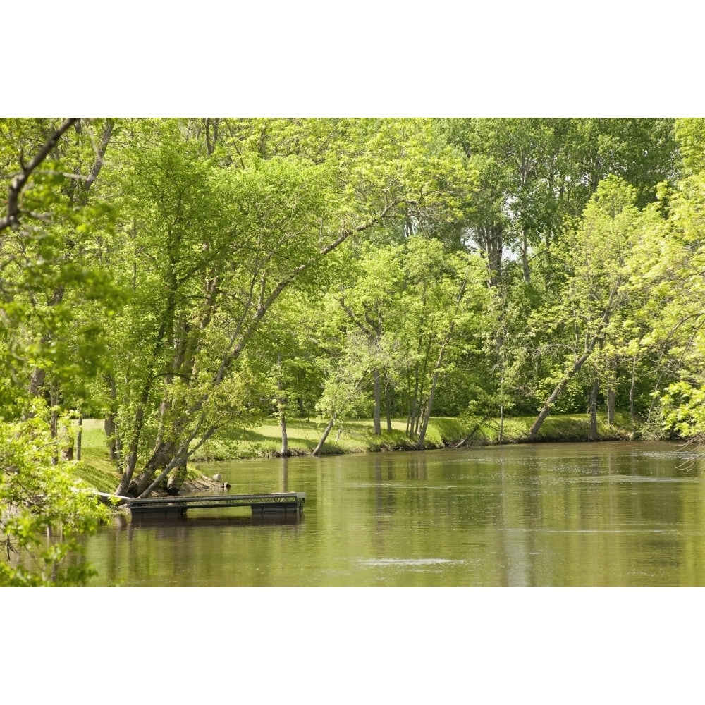 Lake Scenic Lake Of The Woods Ontario Canada Poster Print Image 2