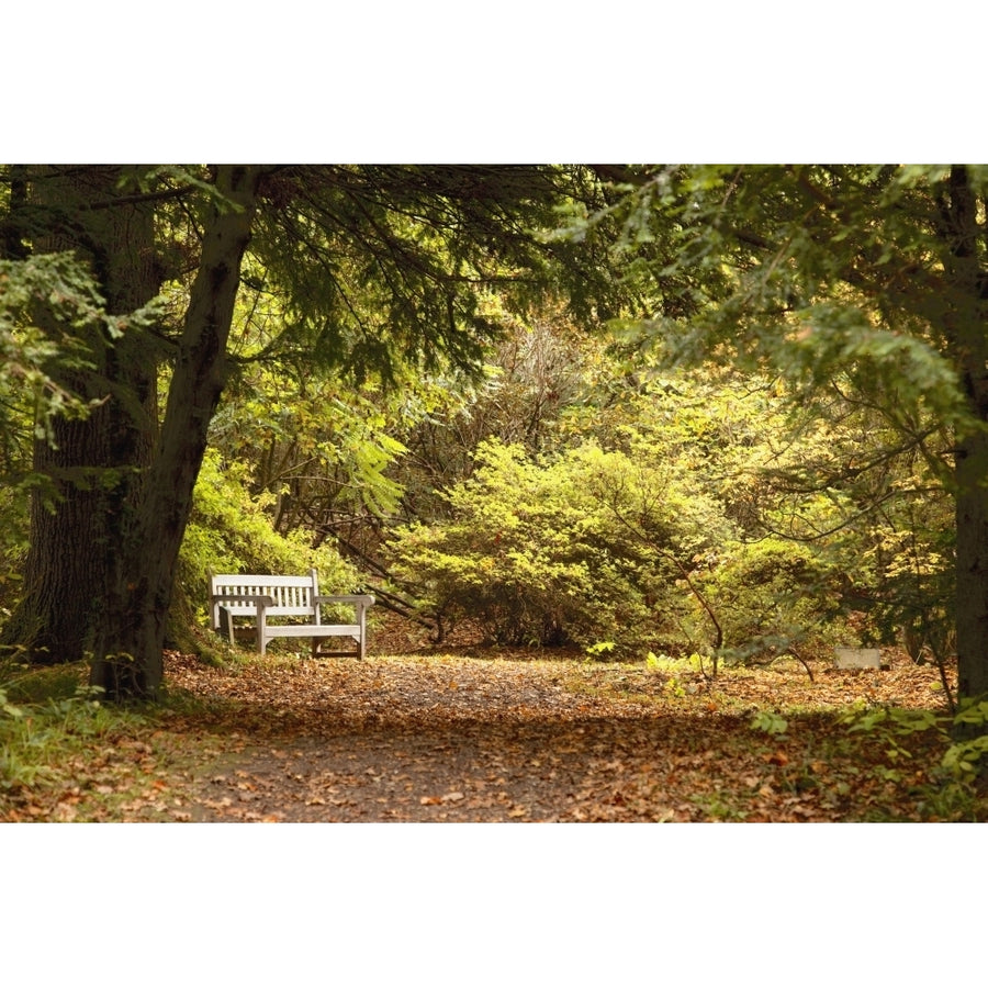 Northumberland England; Park Bench Along A Path In Autumn Poster Print Image 1