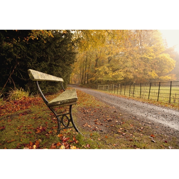 Northumberland England; A Bench Along A Road In Autumn Poster Print Image 1