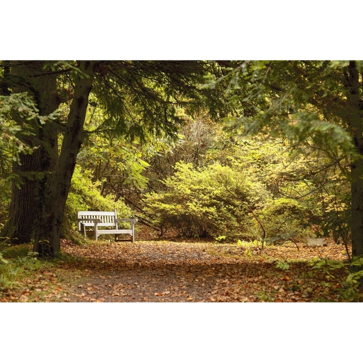 Northumberland England; Park Bench Along A Path In Autumn Poster Print Image 2