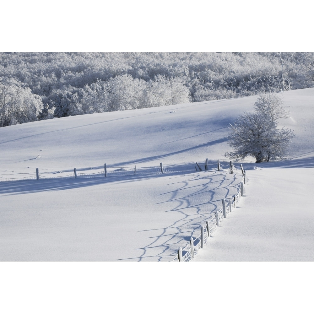 A Snowy Field Poster Print Image 1