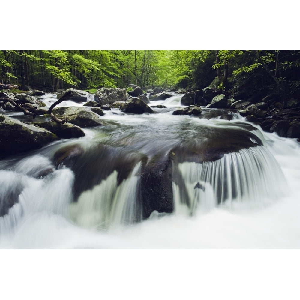 Tennessee United States Of America; Curved Cascade On The Middle Prong River In The Great Smokey Mountains National Par Image 2