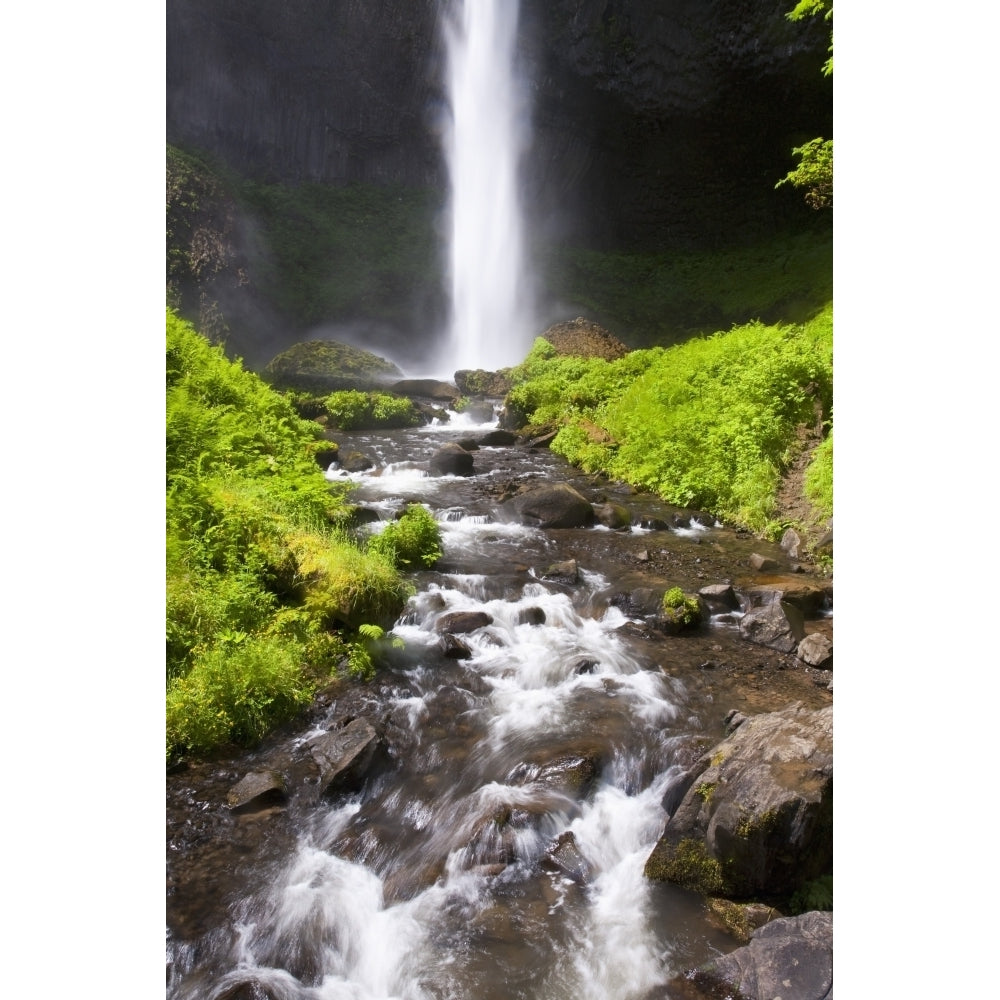 Oregon United States Of America; Latourell Falls In The Columbia River Gorge National Scenic Area Print Image 1