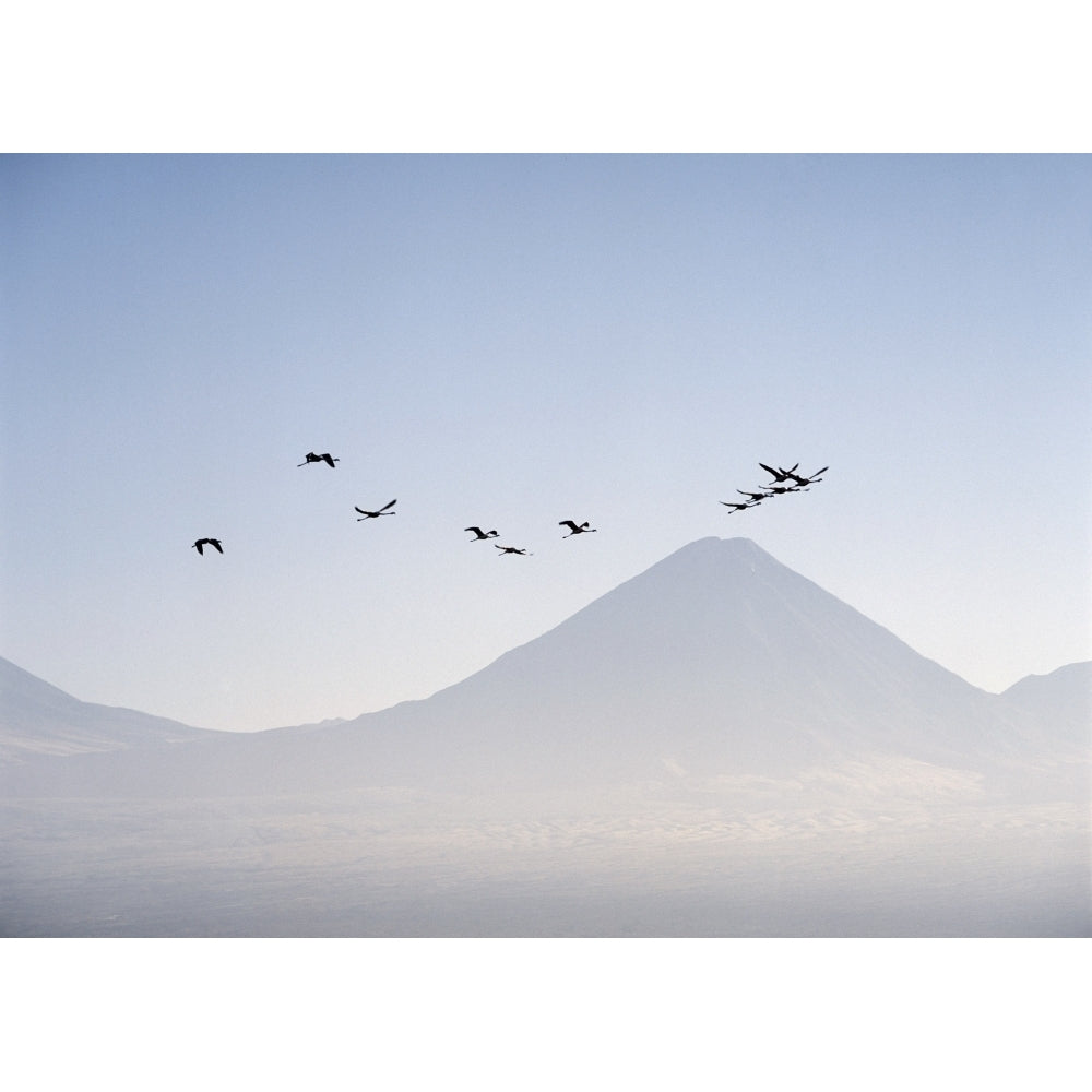 Near San Pedro de Atacama; Chile Flamingos Flying Over The Andes Poster Print Image 2