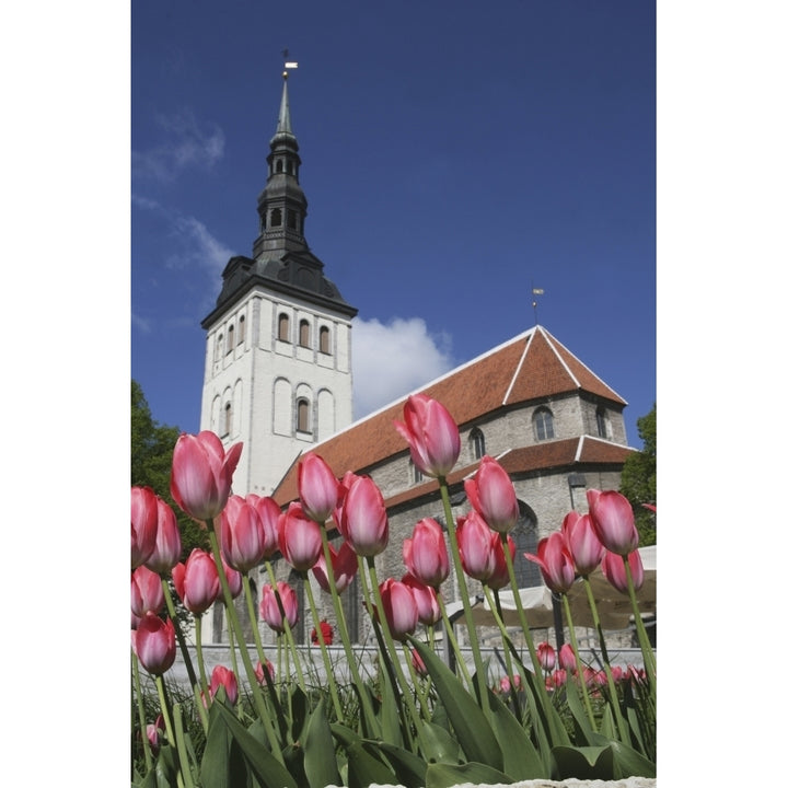 Tulips Outside Niguliste Church Tallinn Estonia. Poster Print Image 1