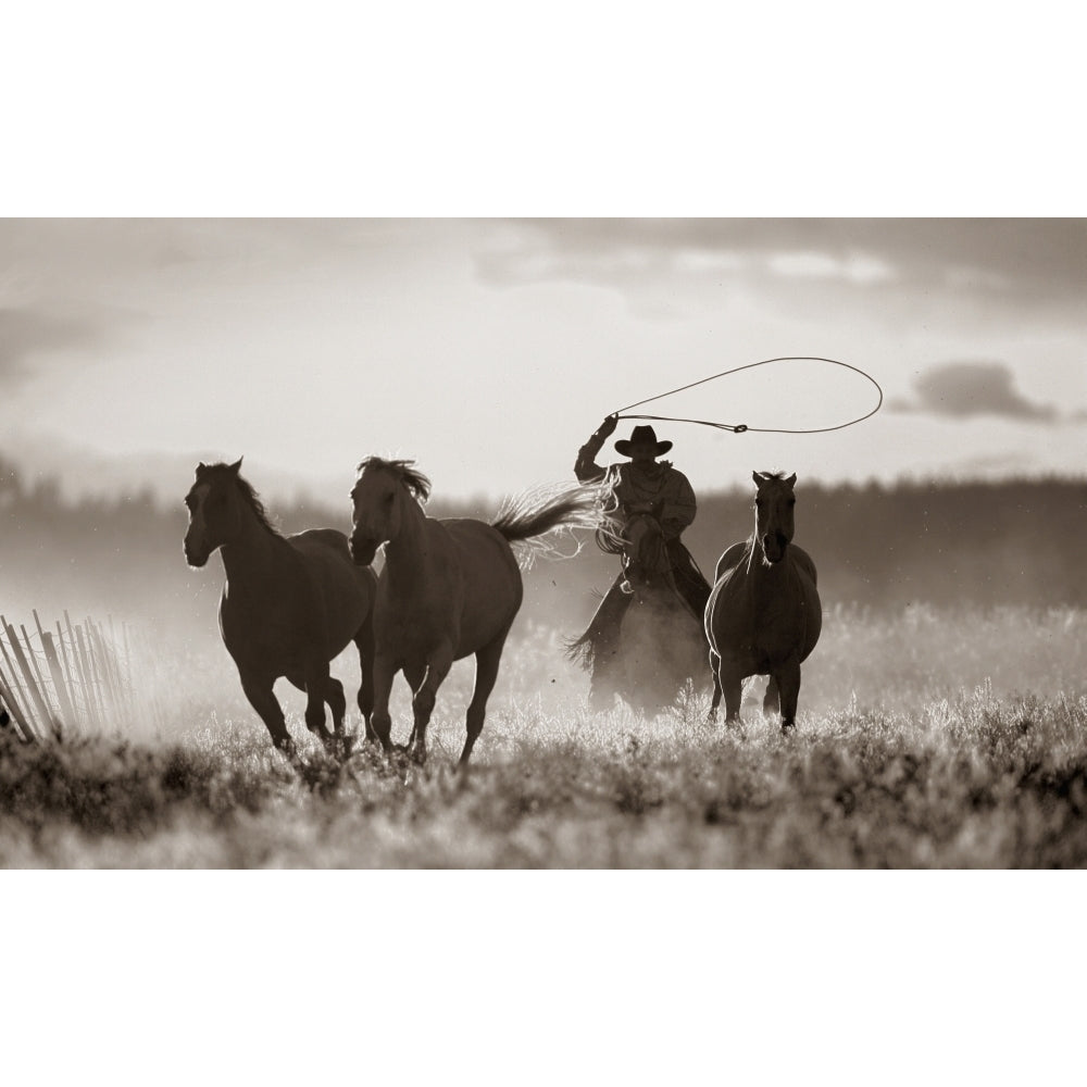 Cowboy Lassoing Horses; Senaca Oregon Usa Poster Print Image 2