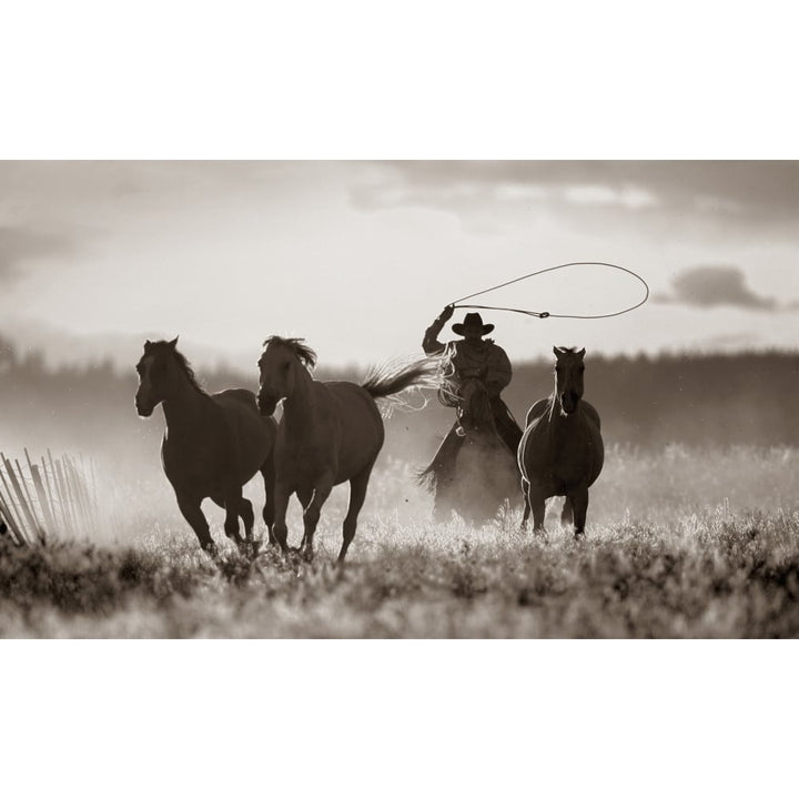 Cowboy Lassoing Horses; Senaca Oregon Usa Poster Print Image 1