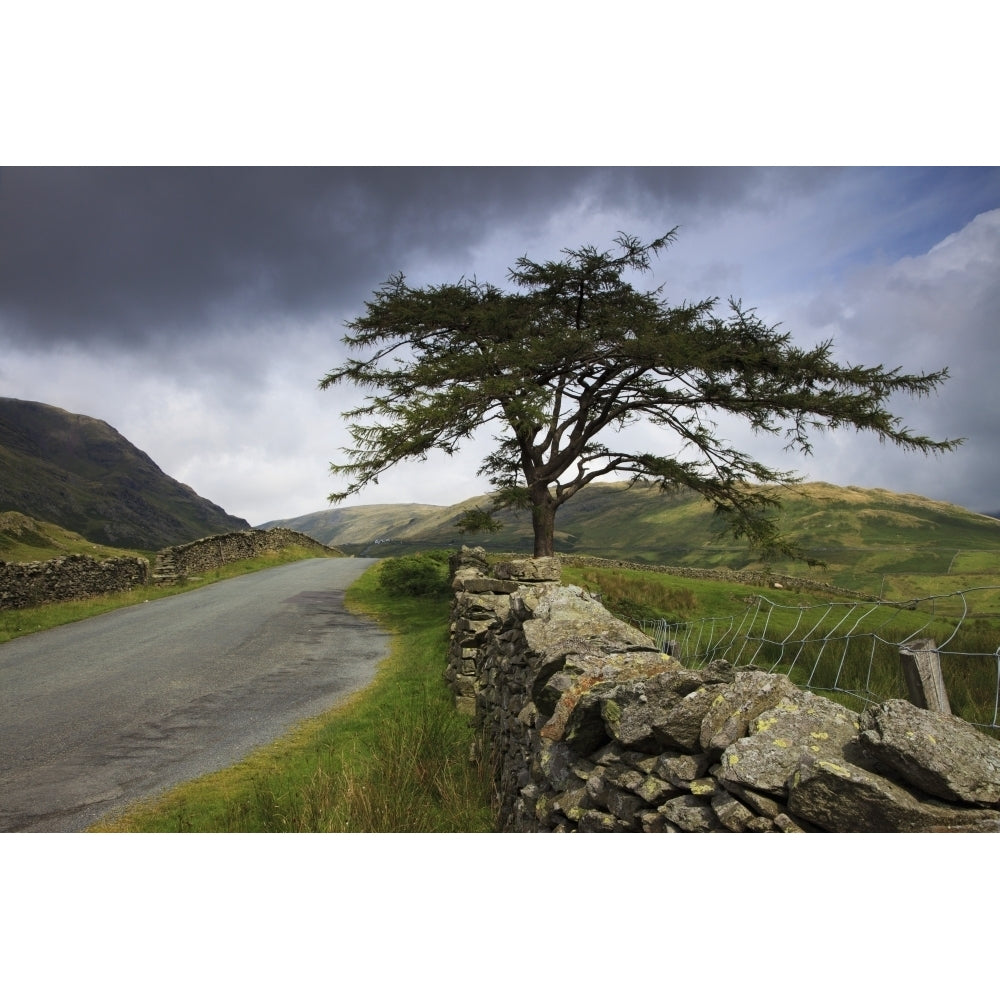 A Stone Fence Running Along A Road; Lake District Cumbria England Poster Print Image 1