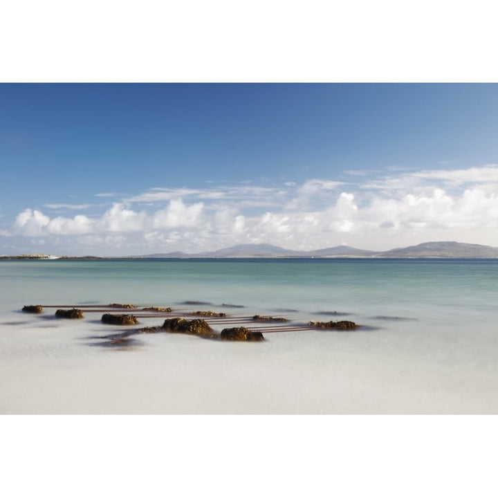 Seaweed On The Shore On Eilogarry Beach; Isle Of Barra Scotland Poster Print Image 1